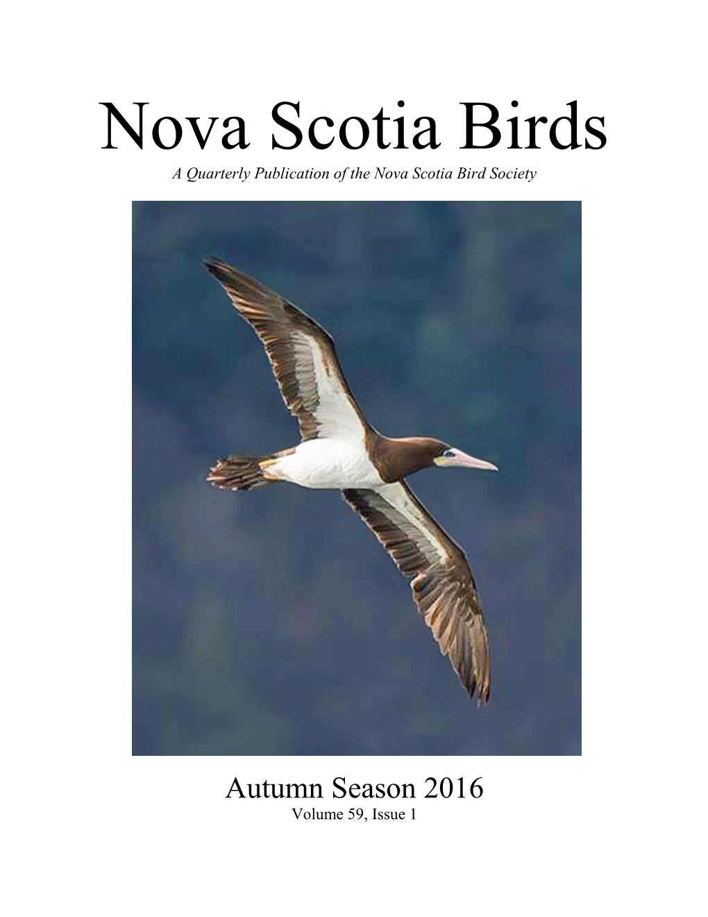Nova Scotia Birds a Quarterly Publication of the Nova Scotia Bird Society