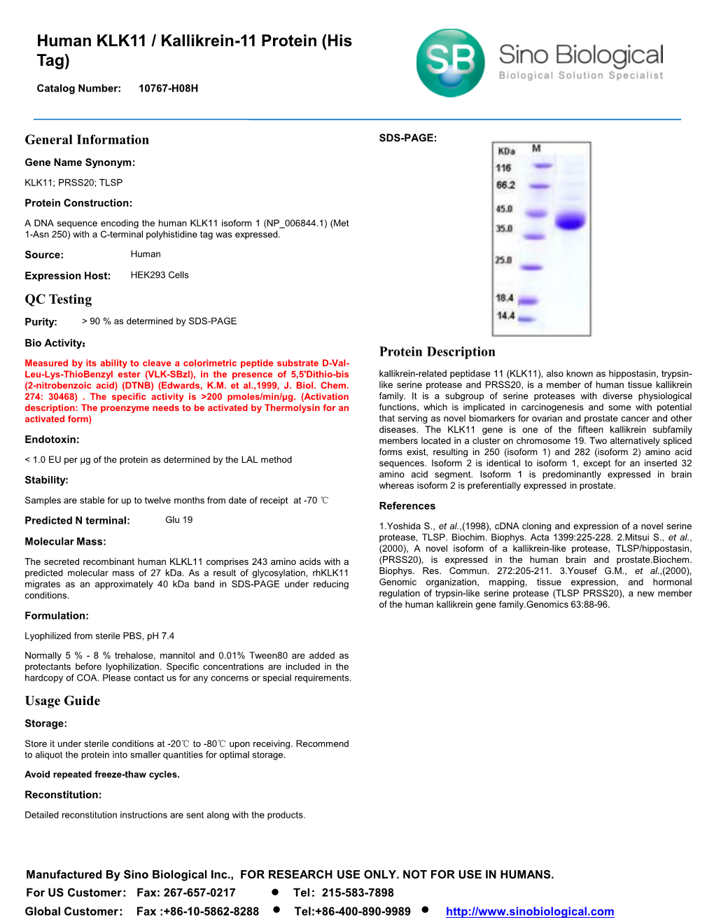 Human KLK11 / Kallikrein-11 Protein (His Tag)