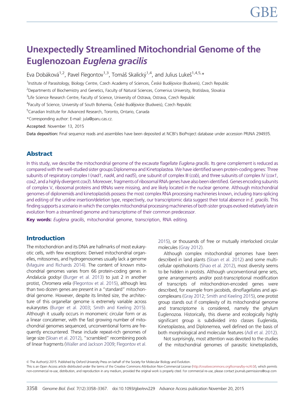 Unexpectedly Streamlined Mitochondrial Genome of the Euglenozoan Euglena Gracilis