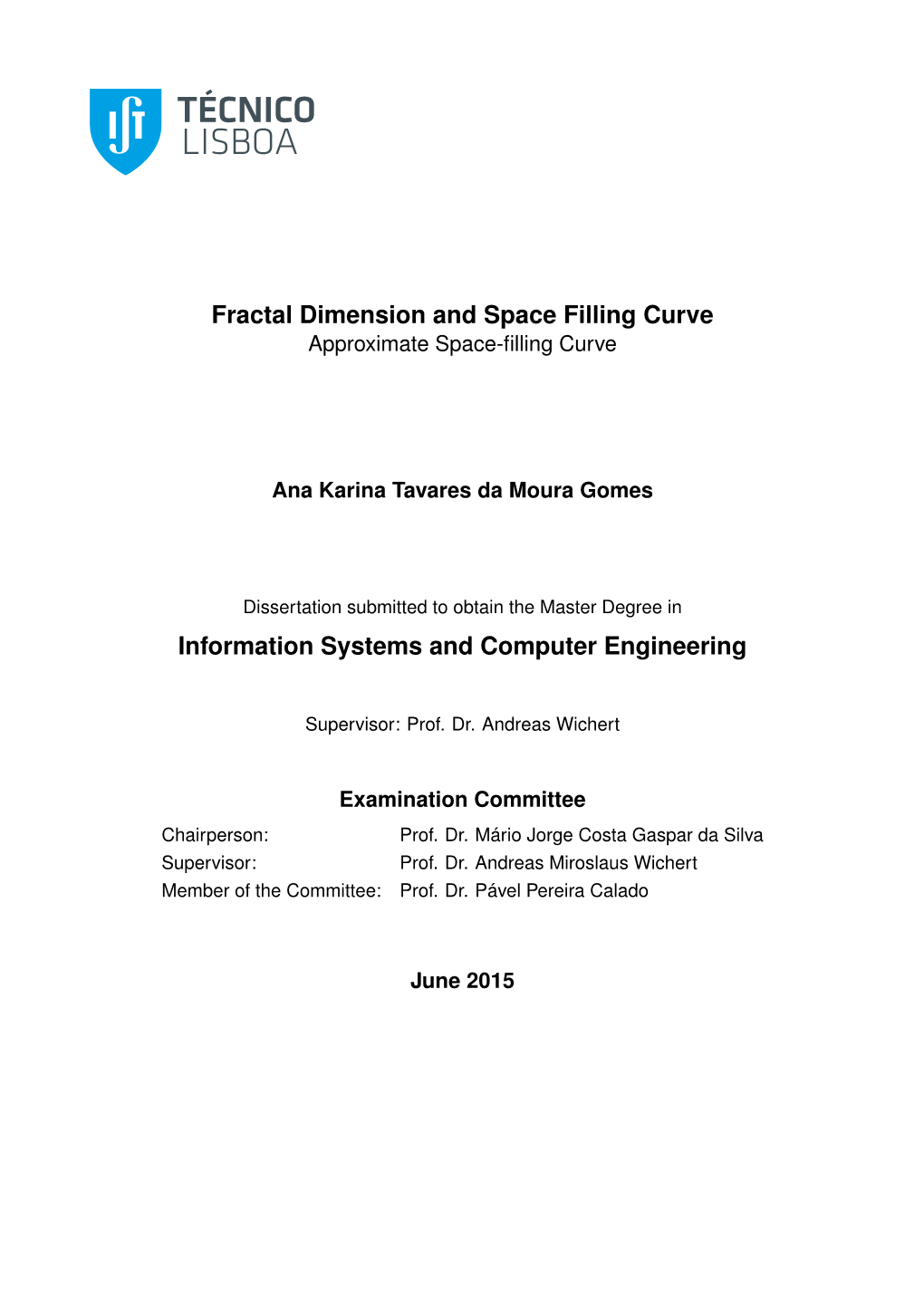 Fractal Dimension and Space Filling Curve Information Systems And