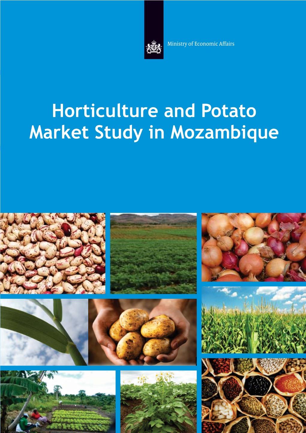 Horticulture and Potato Market Study in Mozambique Foreword