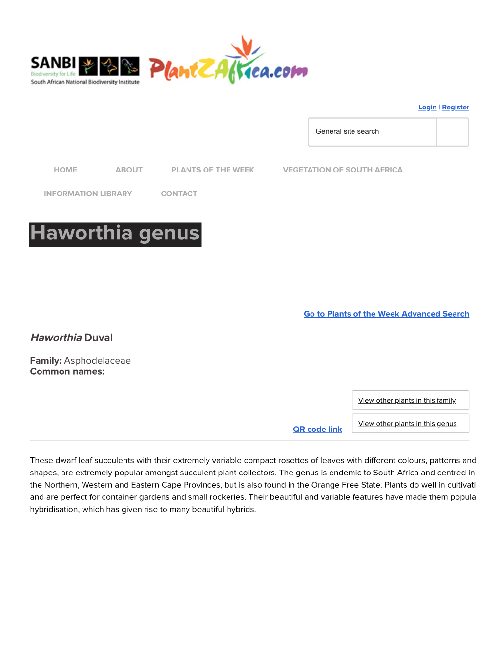 Haworthia Genus
