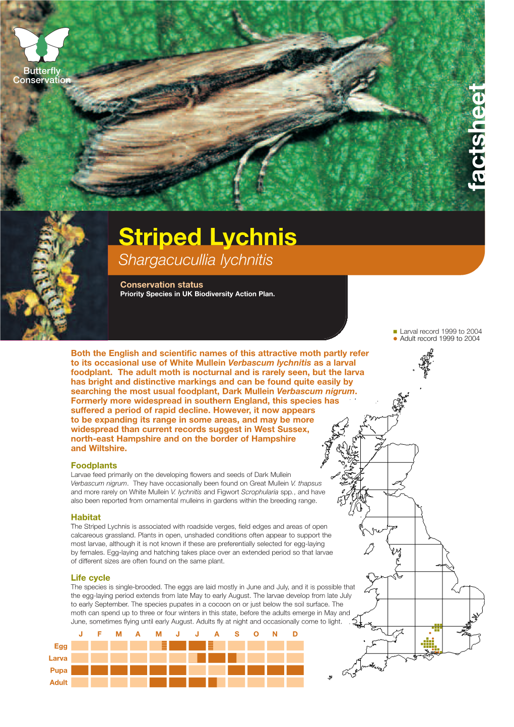 Striped Lychnis Priority Species Factsheet