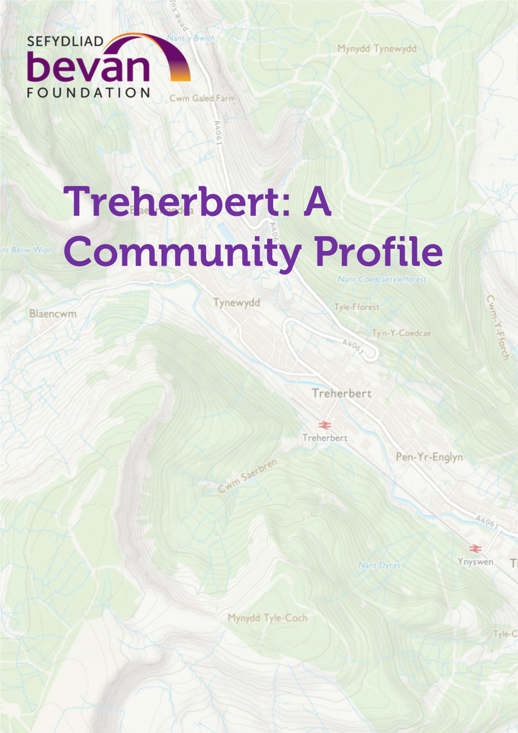 Treherbert Community Profile