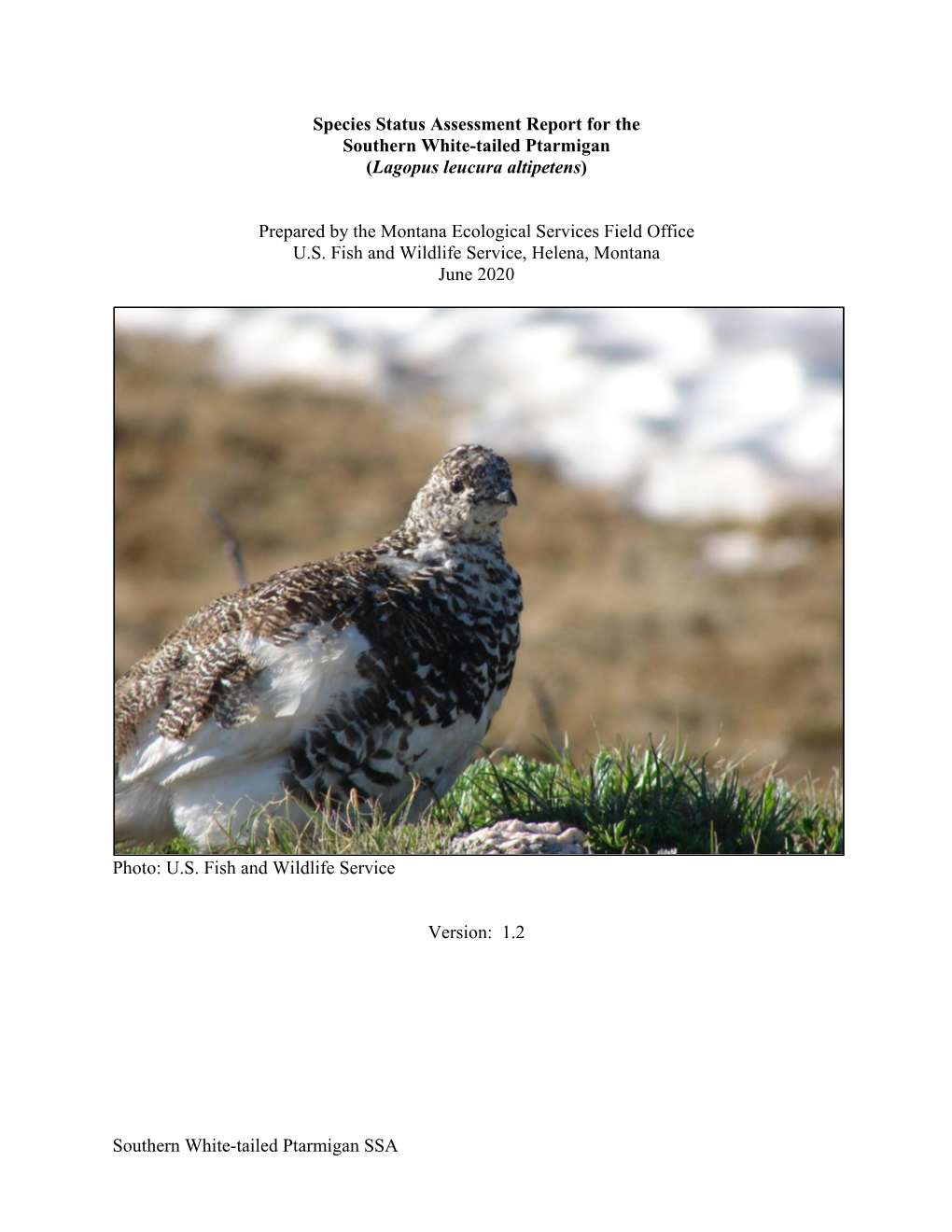 Southern White-Tailed Ptarmigan SSA Species Status Assessment Report