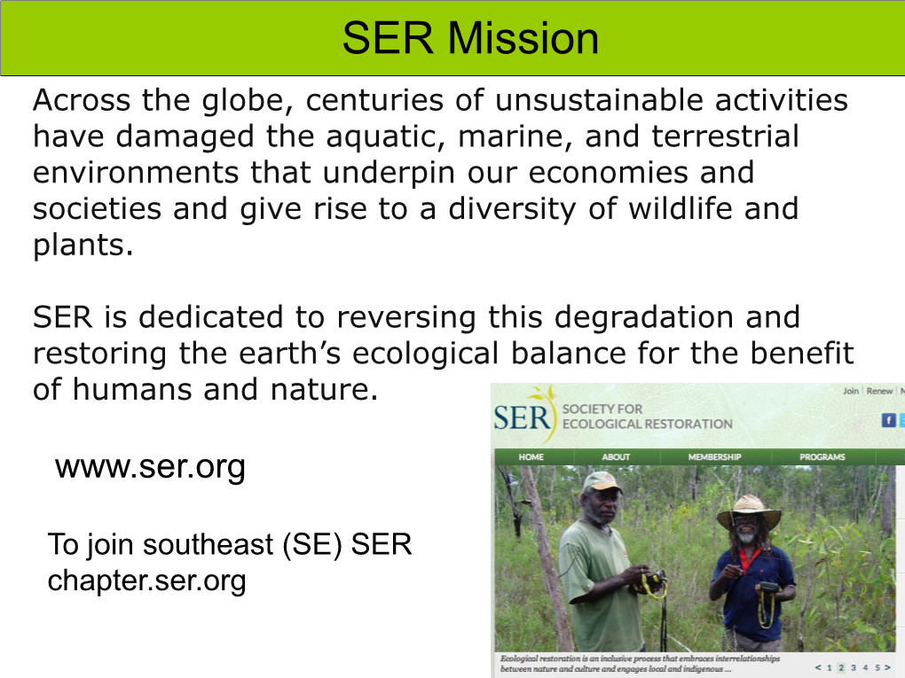 Seagrass and Macroalgal Identification