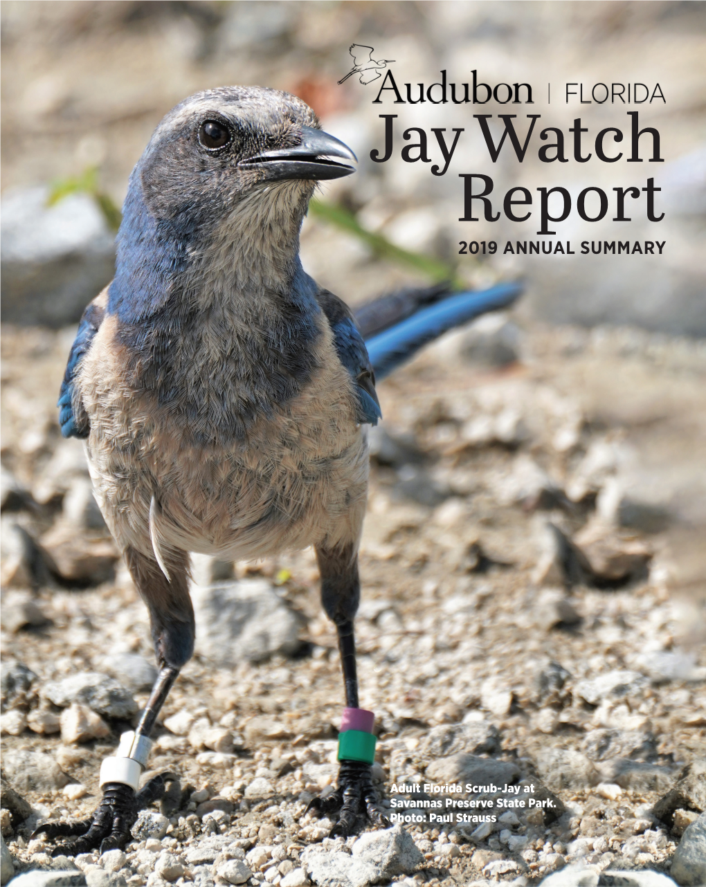 Jay Watch Report 2019 ANNUAL SUMMARY