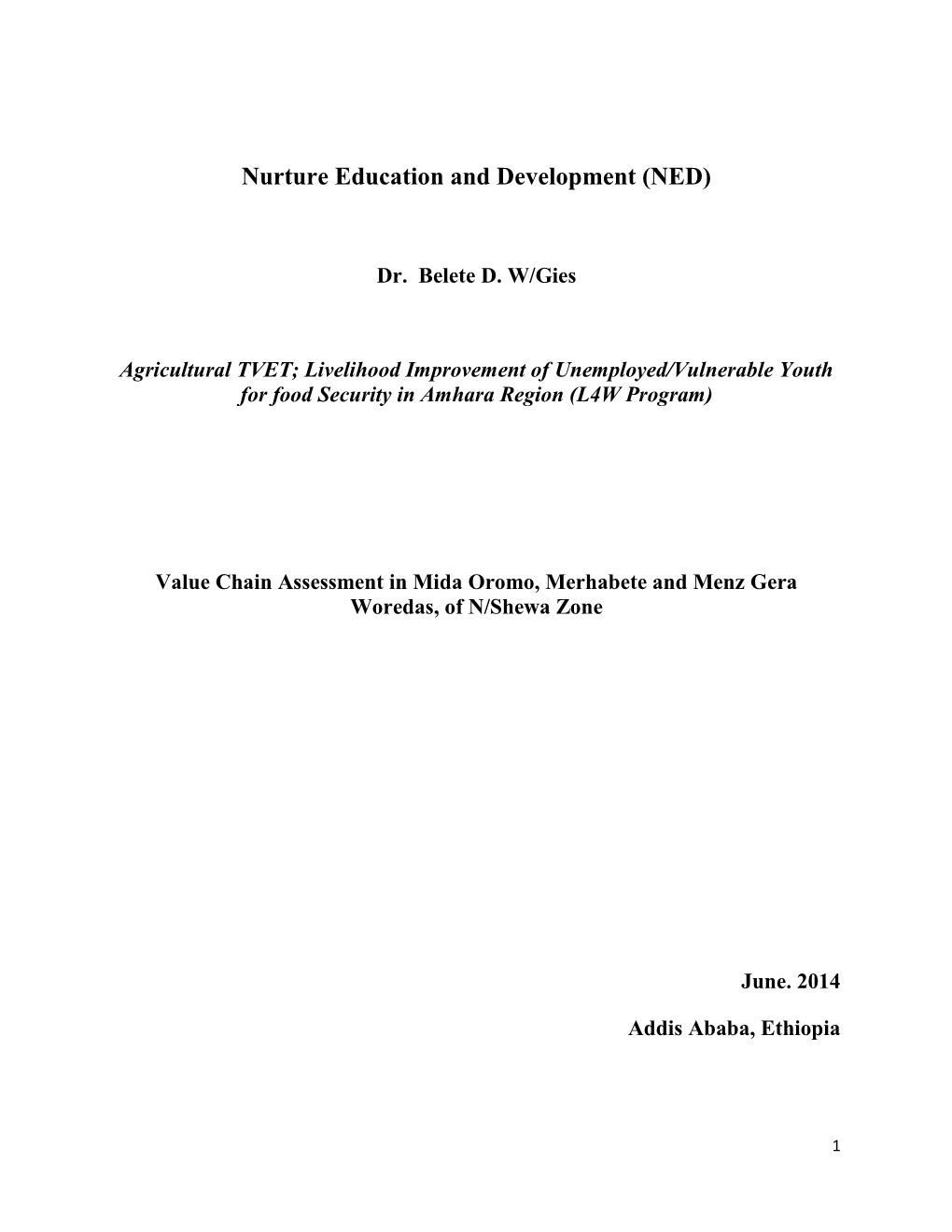 Value Chain Analysis and Labour Market Assessment NED