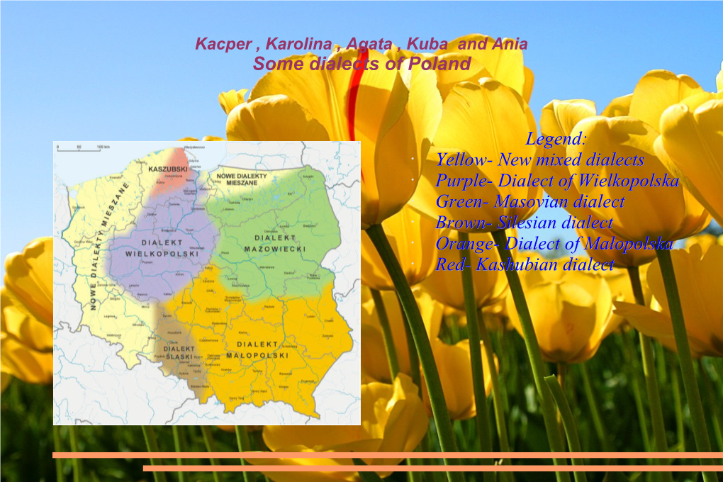 Some Dialects of Poland Legend: Yellow- New Mixed Dialects Purple