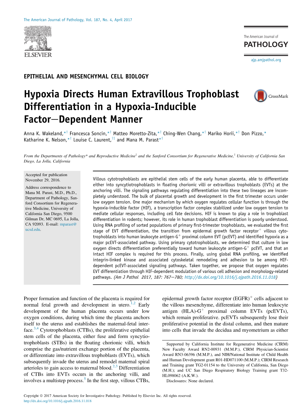 Hypoxia Directs Human Extravillous Trophoblast Differentiation in a Hypoxia-Inducible Factoredependent Manner