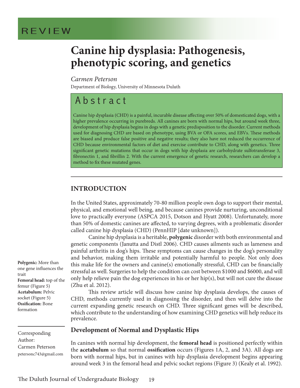 Canine Hip Dysplasia: Pathogenesis, Phenotypic Scoring, and Genetics Carmen Peterson Department of Biology, University of Minnesota Duluth Abstract