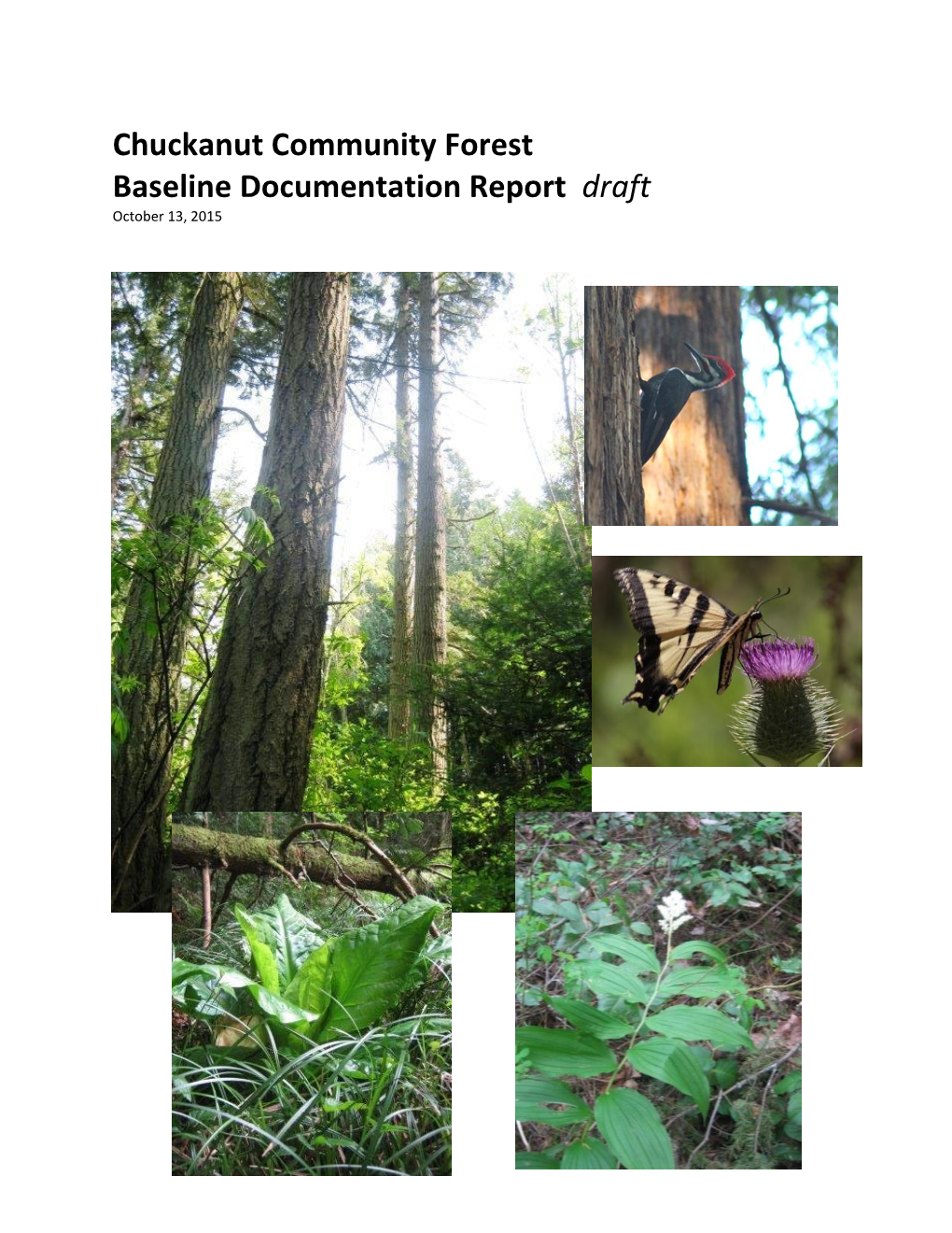 Chuckanut Community Forest Baseline Documentation Report Draft October 13, 2015