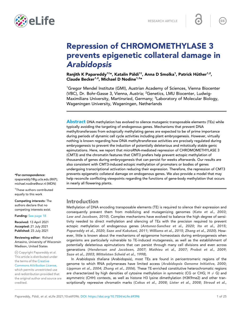 Repression of CHROMOMETHYLASE 3 Prevents Epigenetic Collateral
