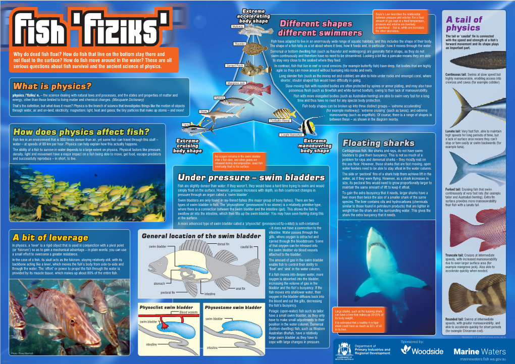 Fish Fiziks Poster