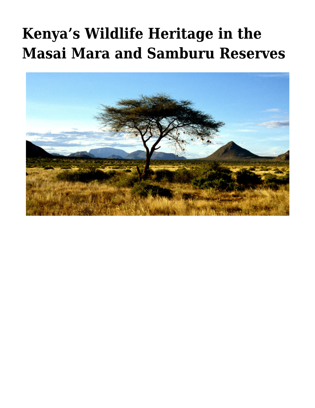 S Wildlife Heritage in the Masai Mara and Samburu Reserves Kenya Slide Show – Images by Lee Foster