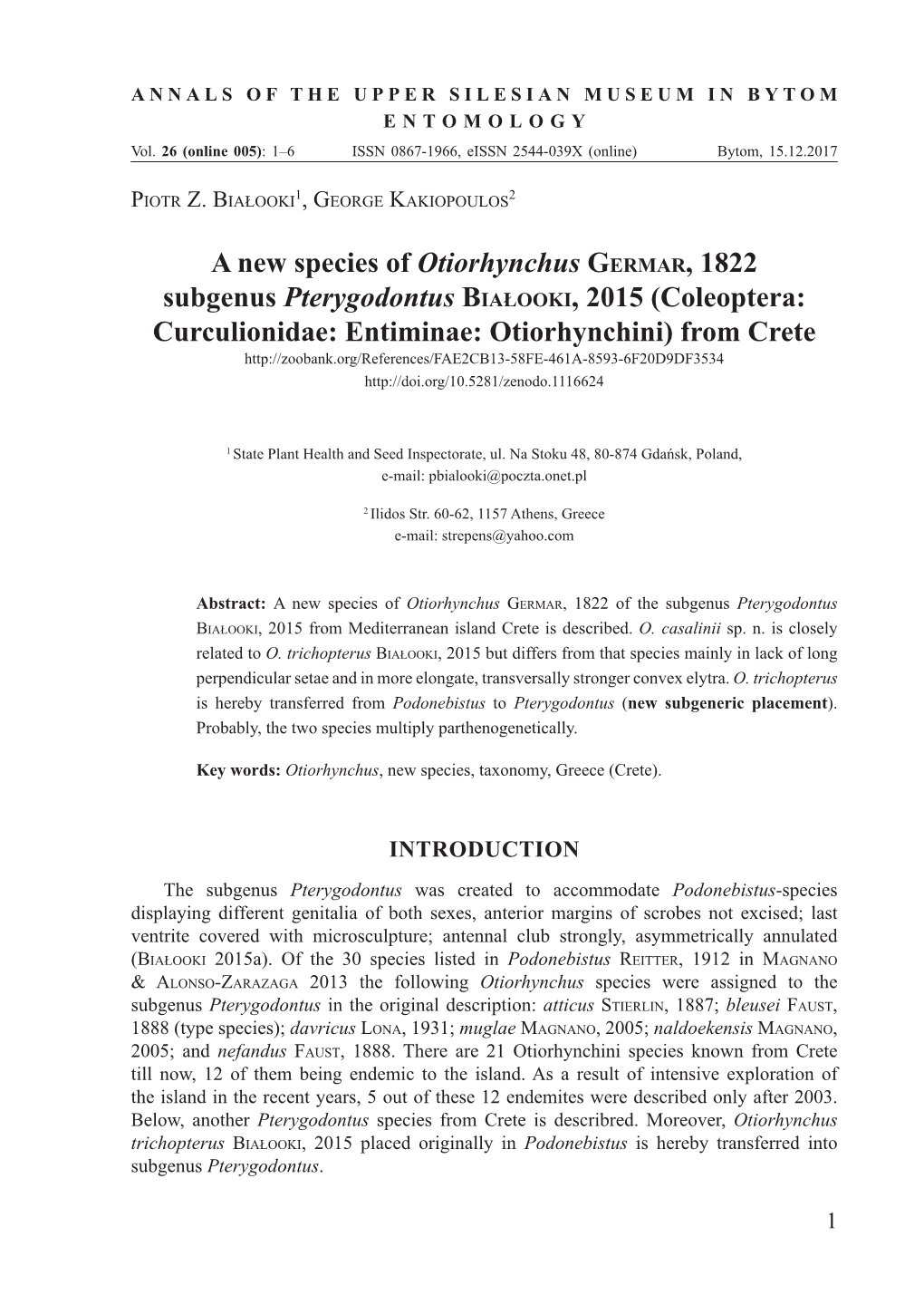 A New Species of Otiorhynchus GERMAR, 1822 Subgenus