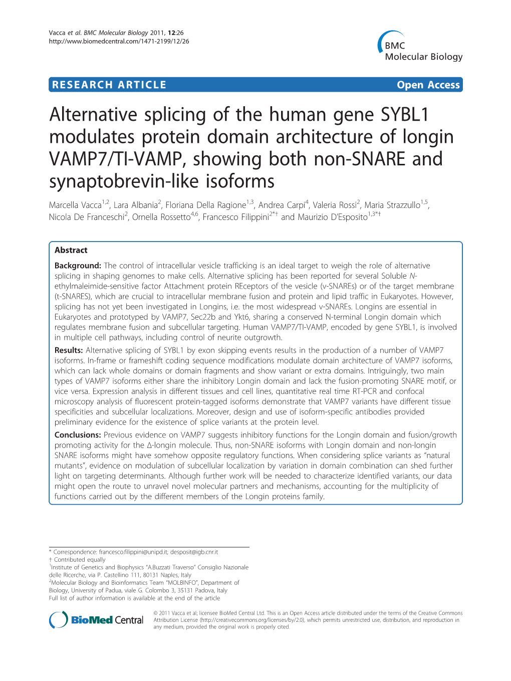 Alternative Splicing of the Human Gene SYBL1 Modulates Protein Domain