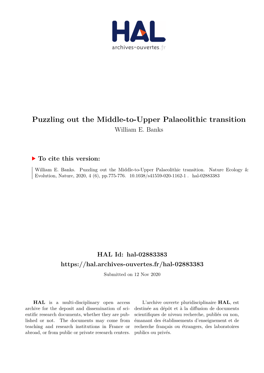 Puzzling out the Middle-To-Upper Palaeolithic Transition William E