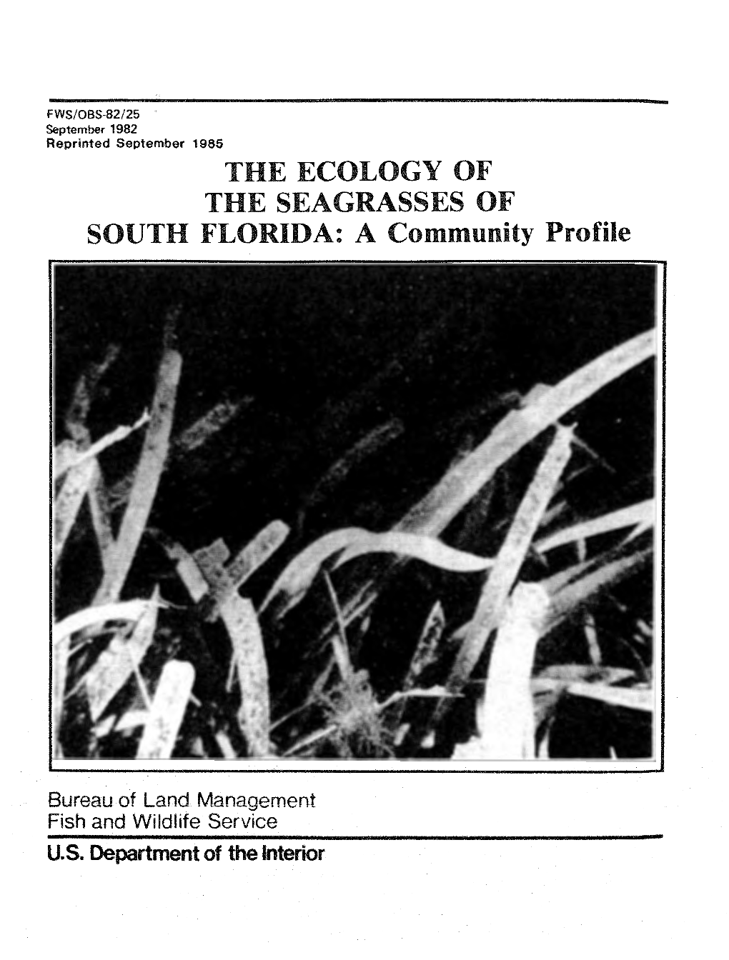 THE ECOLOGY of the SEAGRASSES of SOUTH FLORIDA: a Community Profile