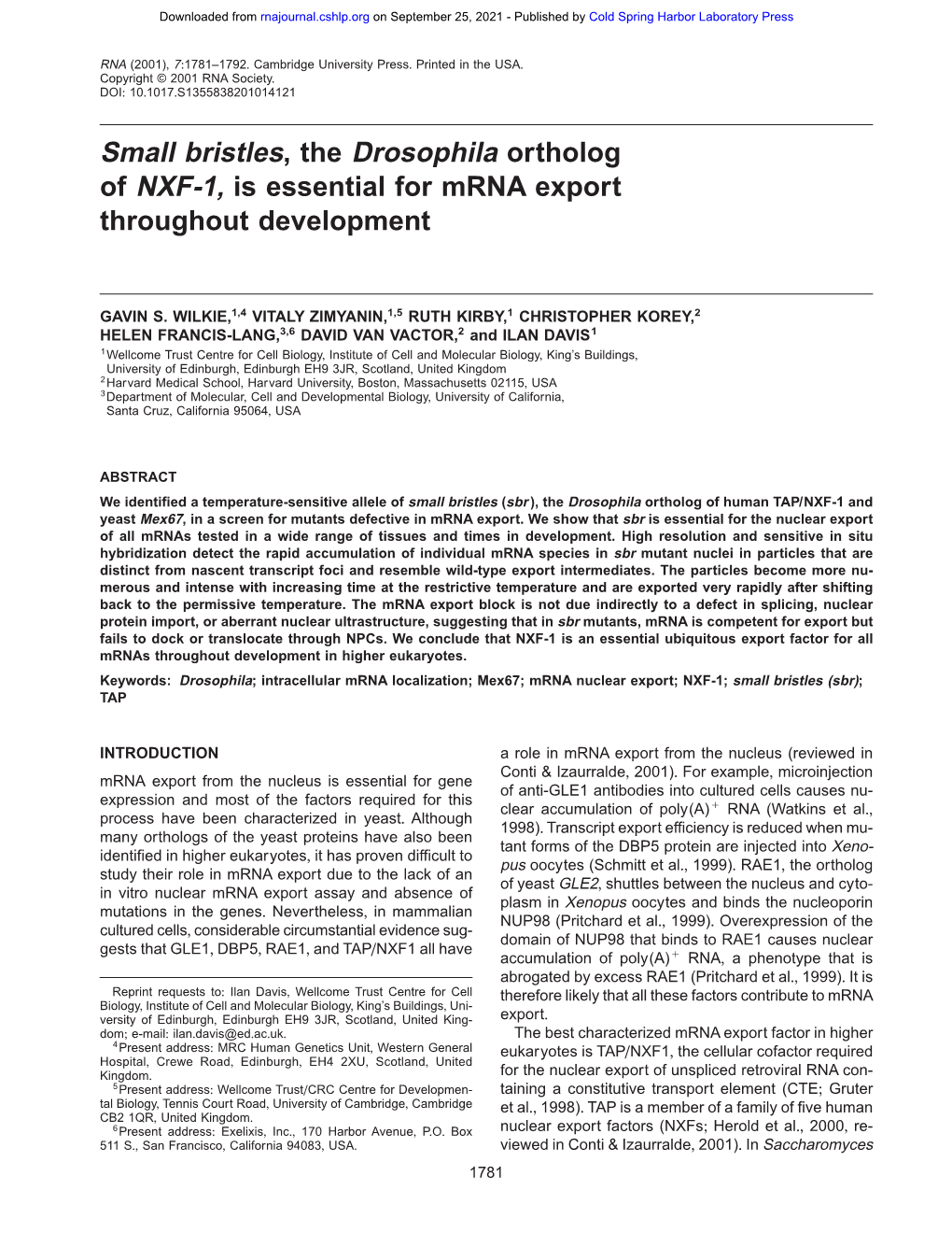 Small Bristles, the Drosophila Ortholog of NXF-1, Is Essential for Mrna Export Throughout Development