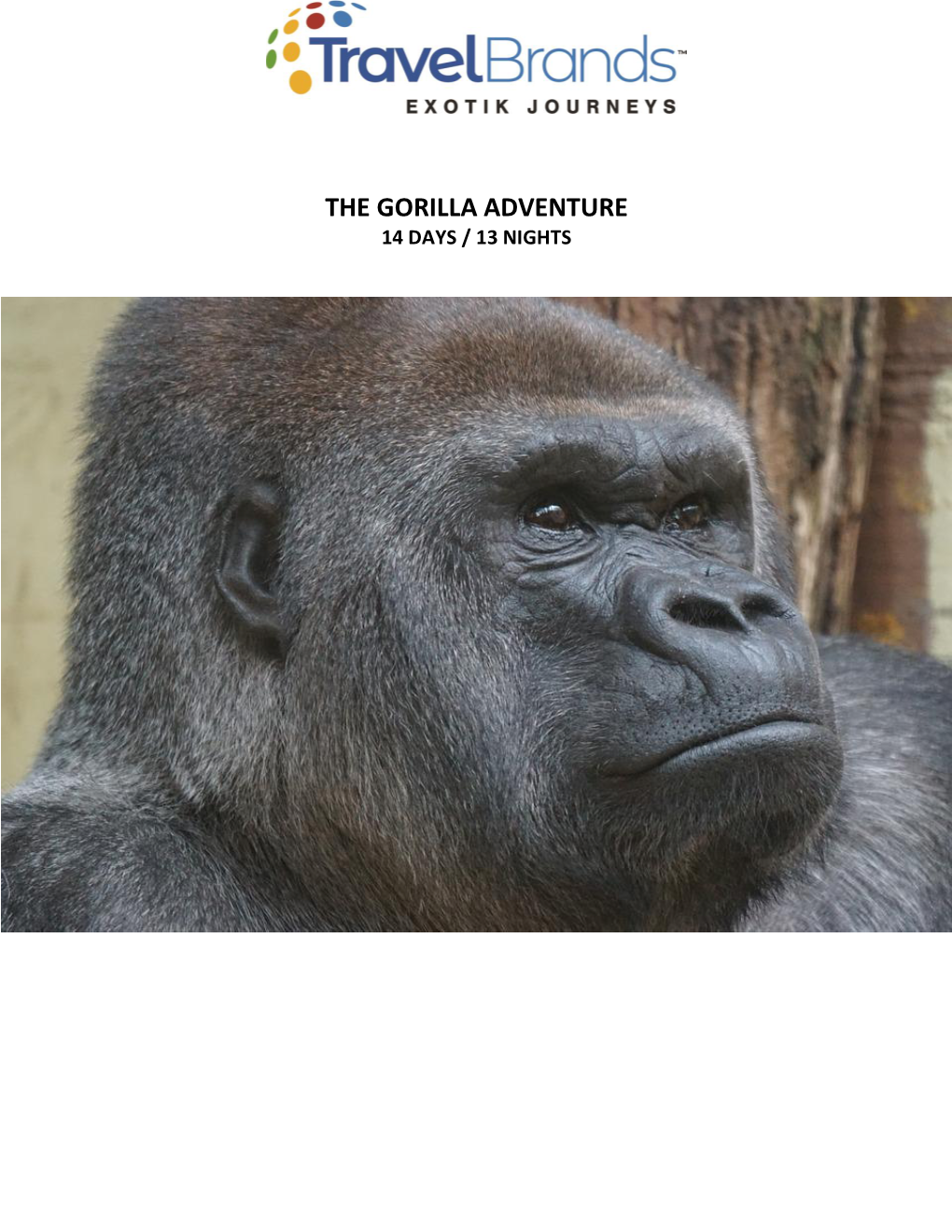 The Gorilla Adventure 14 Days / 13 Nights