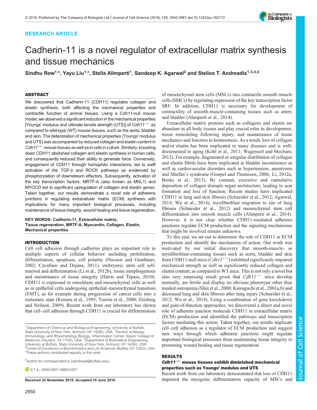 Cadherin-11 Is a Novel Regulator of Extracellular Matrix Synthesis and Tissue Mechanics Sindhu Row1,*, Yayu Liu1,*, Stella Alimperti1, Sandeep K