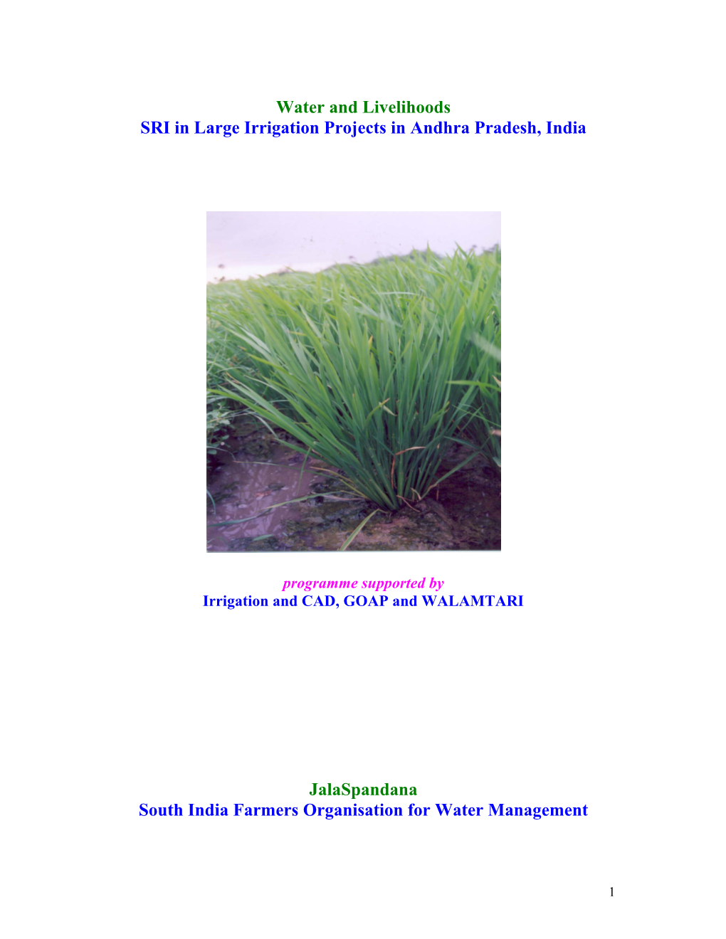 SRI in Large Irrigation Projects in Andhra Pradesh, India