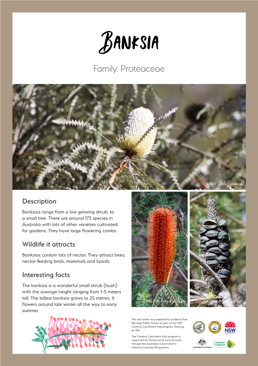 Native Plant Factsheets