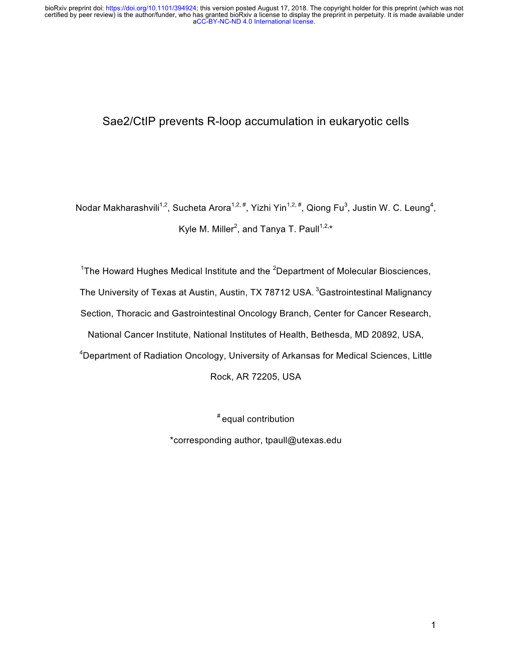 Sae2/Ctip Prevents R-Loop Accumulation in Eukaryotic Cells