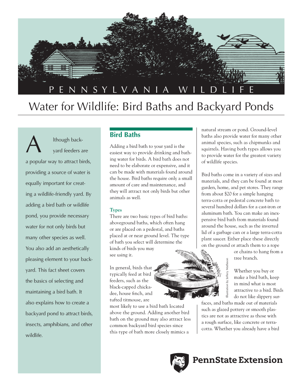 Bird Baths and Backyard Ponds