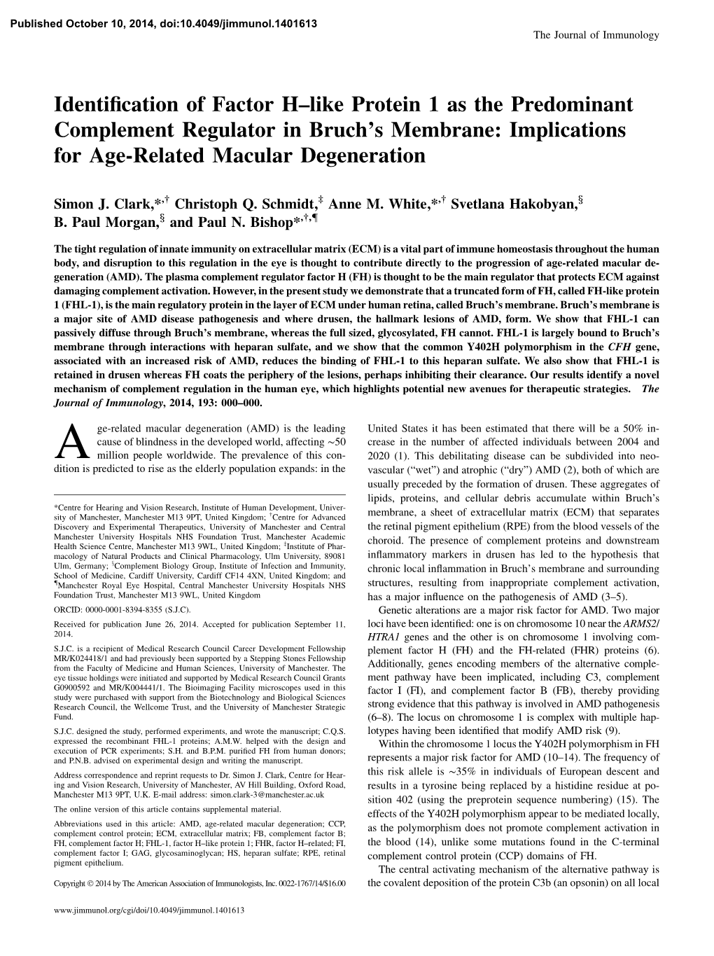 Age-Related Macular Degeneration Bruch's Membrane