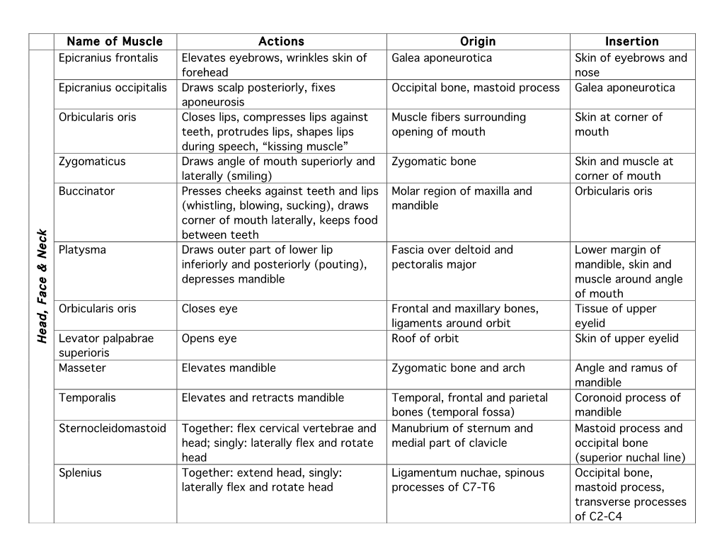 Muscle Table