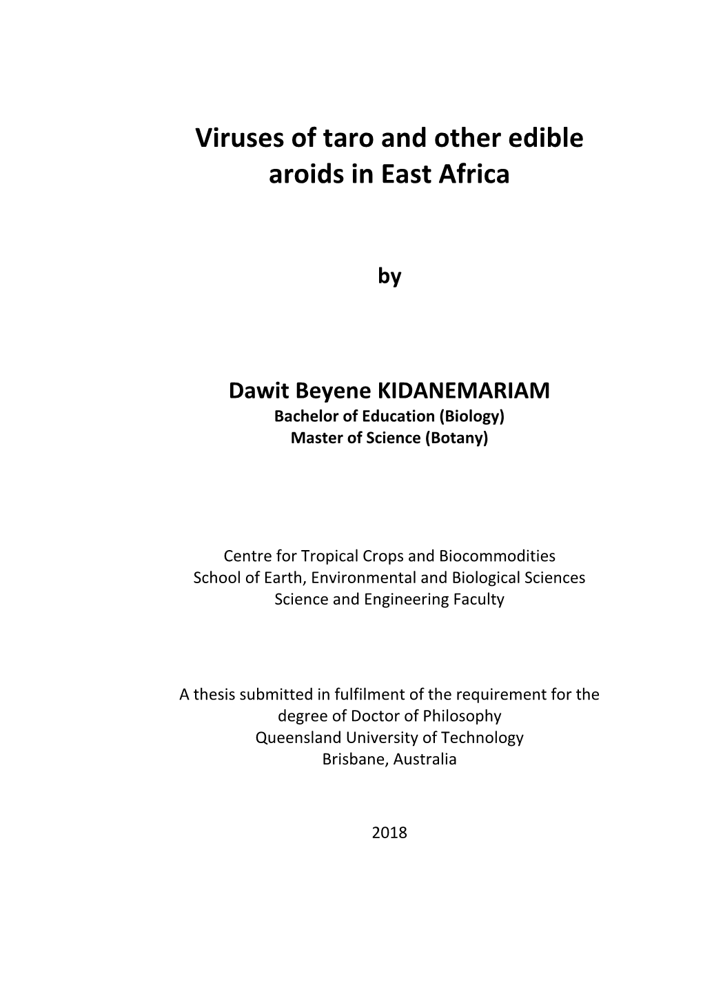 Dawit Kidanemariam Thesis