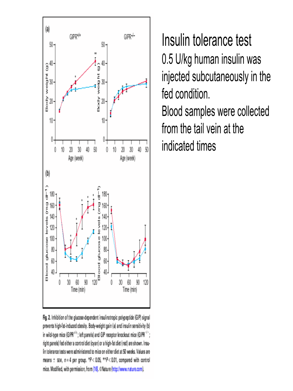 Insulin Tolerance Test 0.5 U/Kg Human Insulin Was Injected Subcutaneously in the Fed Condition