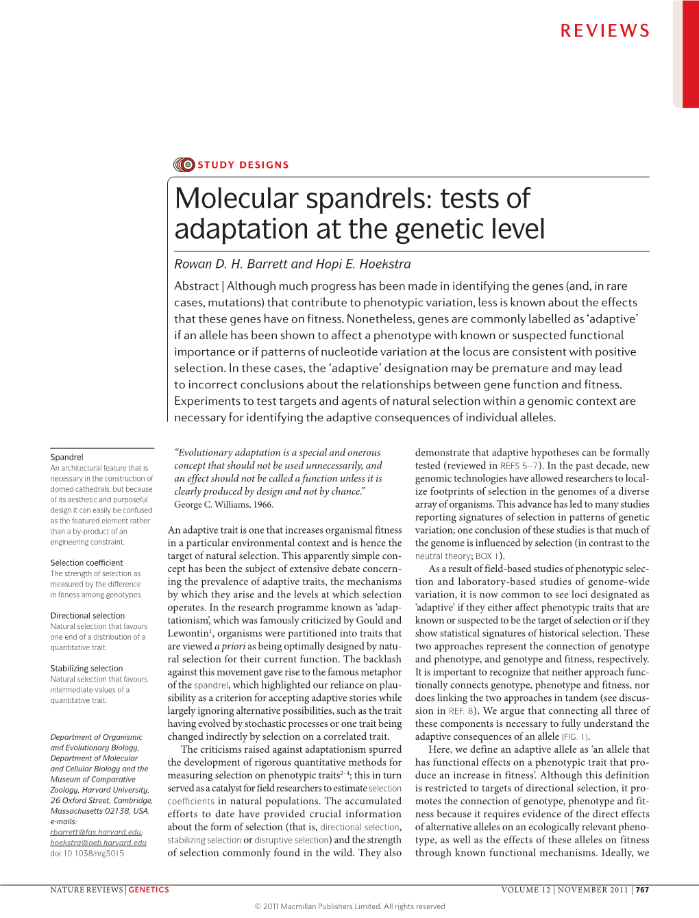 Molecular Spandrels: Tests of Adaptation at the Genetic Level