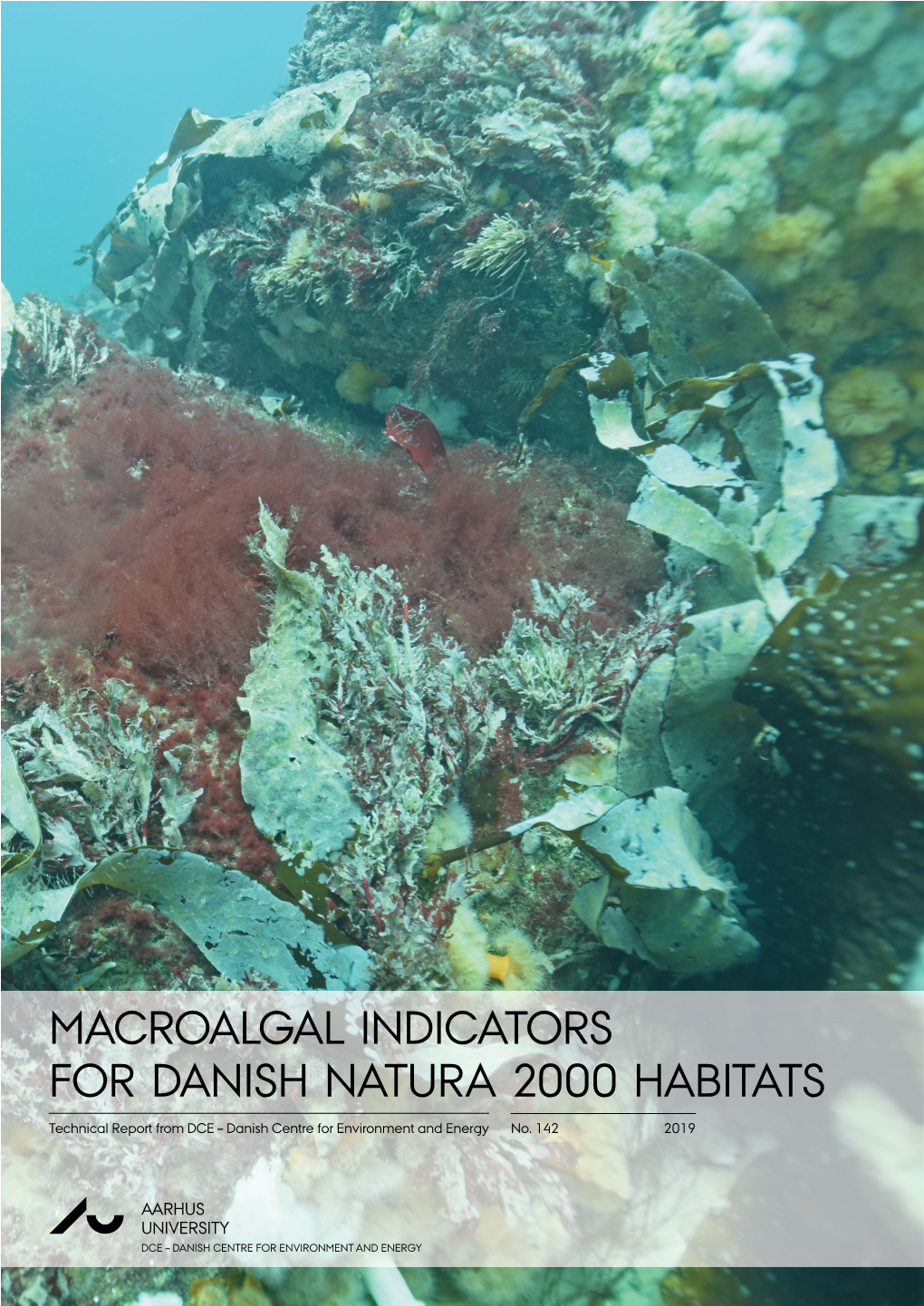 Macroalgal Indicators for Danish Natura 2000 Habitats