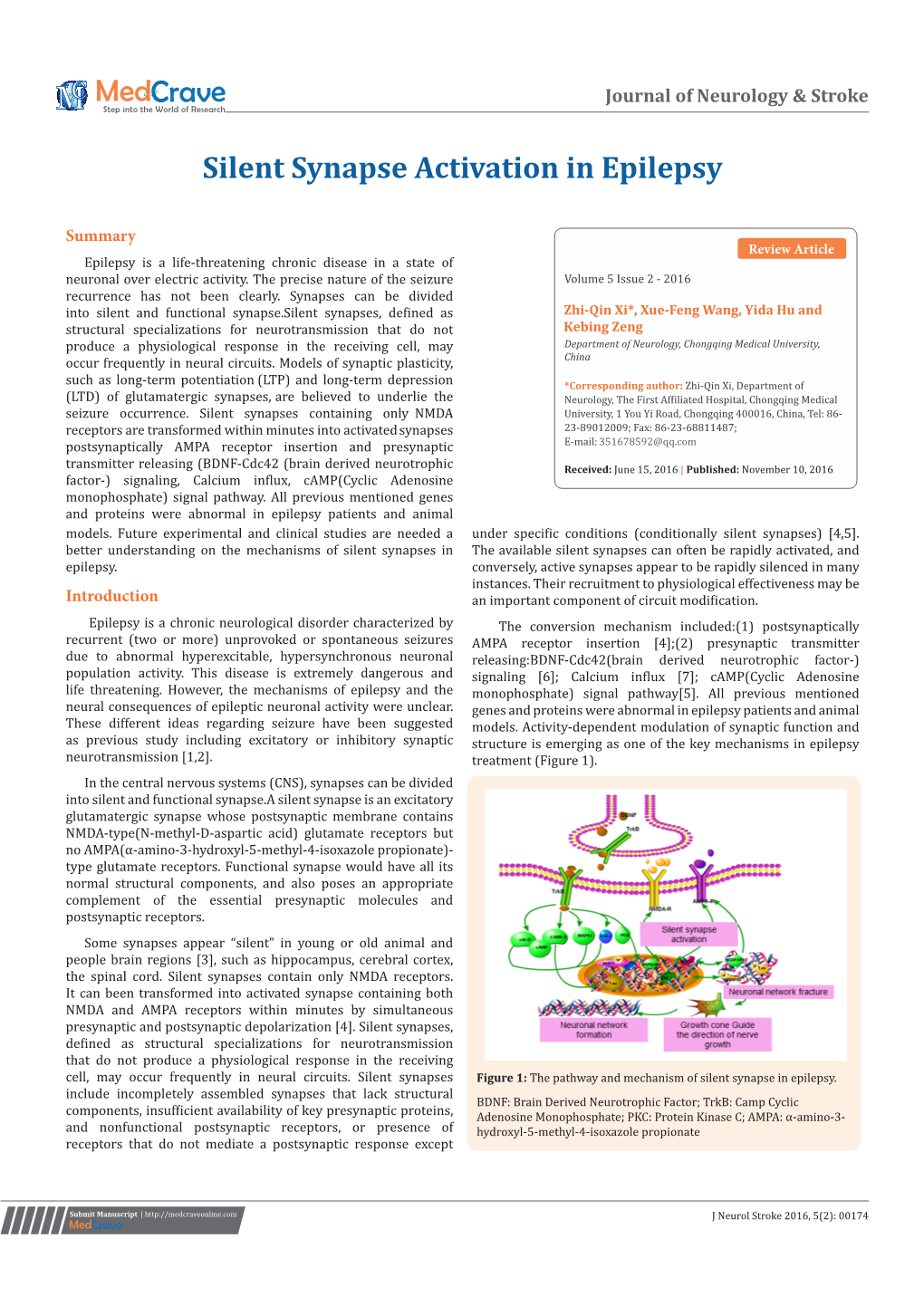 Silent Synapse Activation in Epilepsy