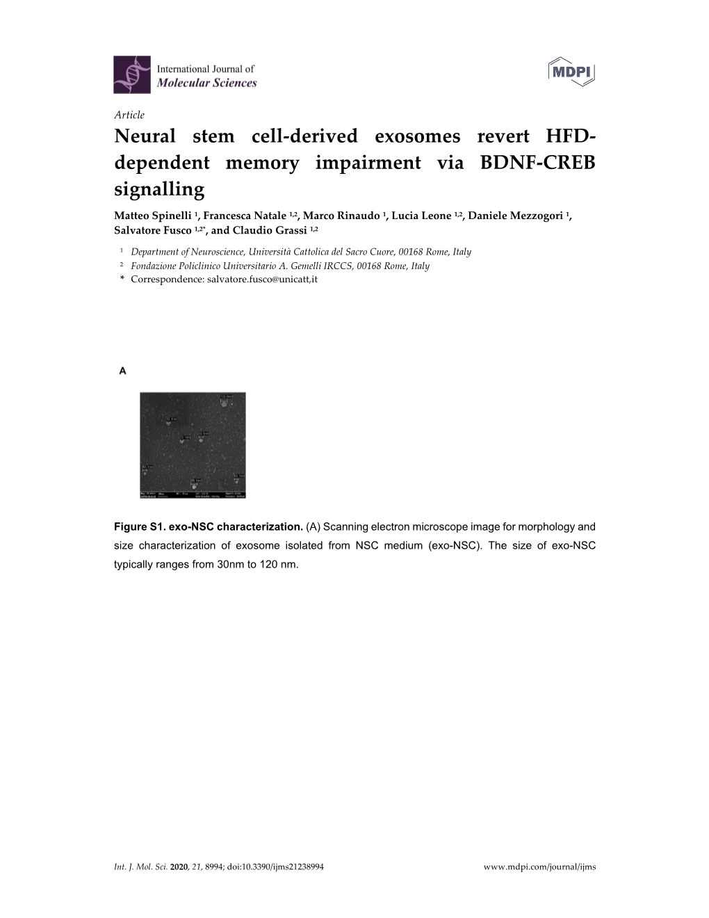 Neural Stem Cell-Derived Exosomes Revert