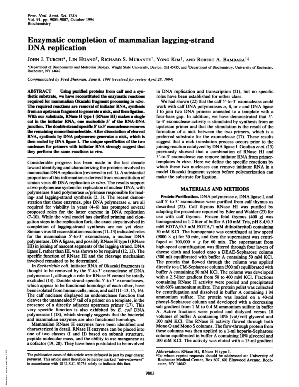 Enzymatic Completion of Mammalian Lagging-Strand DNA Replication JOHN J