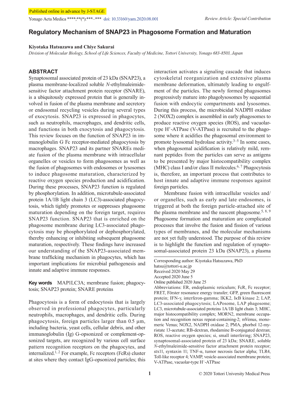 Regulatory Mechanism of SNAP23 in Phagosome Formation and Maturation