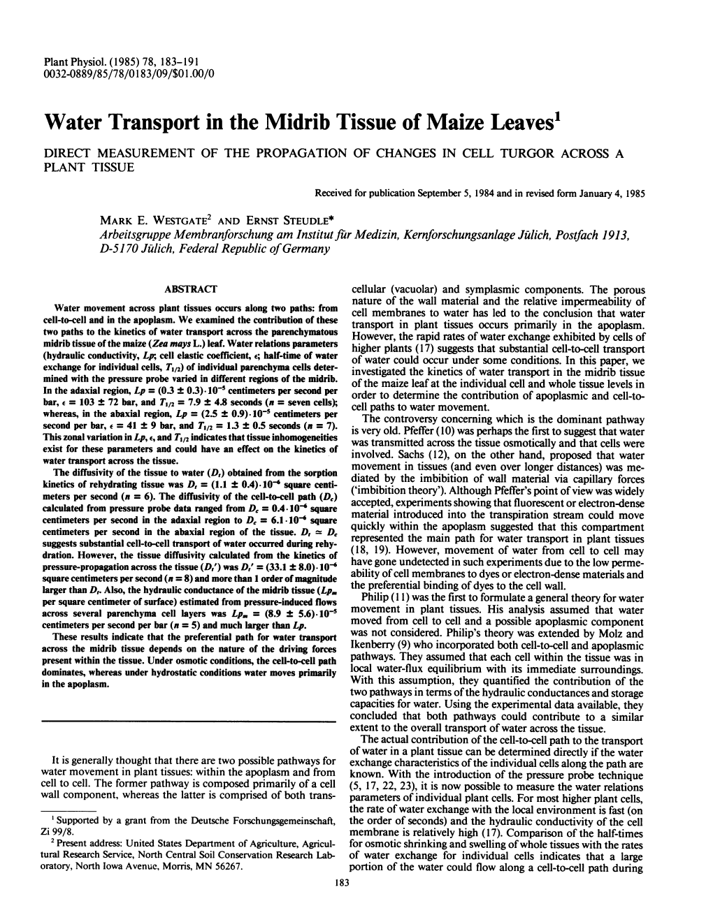 Water Transport in the Midrib Tissueof Maize Leaves'