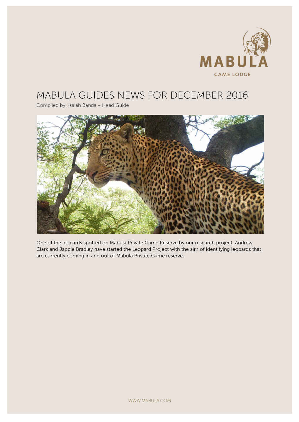 MABULA GUIDES NEWS for DECEMBER 2016 Compiled By: Isaiah Banda – Head Guide