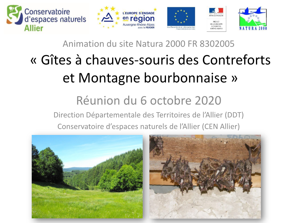 CEN Allier) Ordre Du Jour • Le Réseau Natura 2000 – Origine Réglementaire – Objectifs – Situation Dans L’Allier