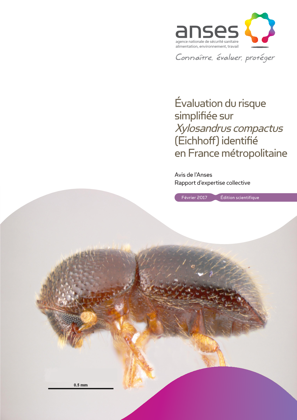 Xylosandrus Compactus Avis De L’Anses (Eichhoff)Rapport D’Expertise Identifié Collective Enjuillet France 2015 Éditionmétropolitaine Scientifique