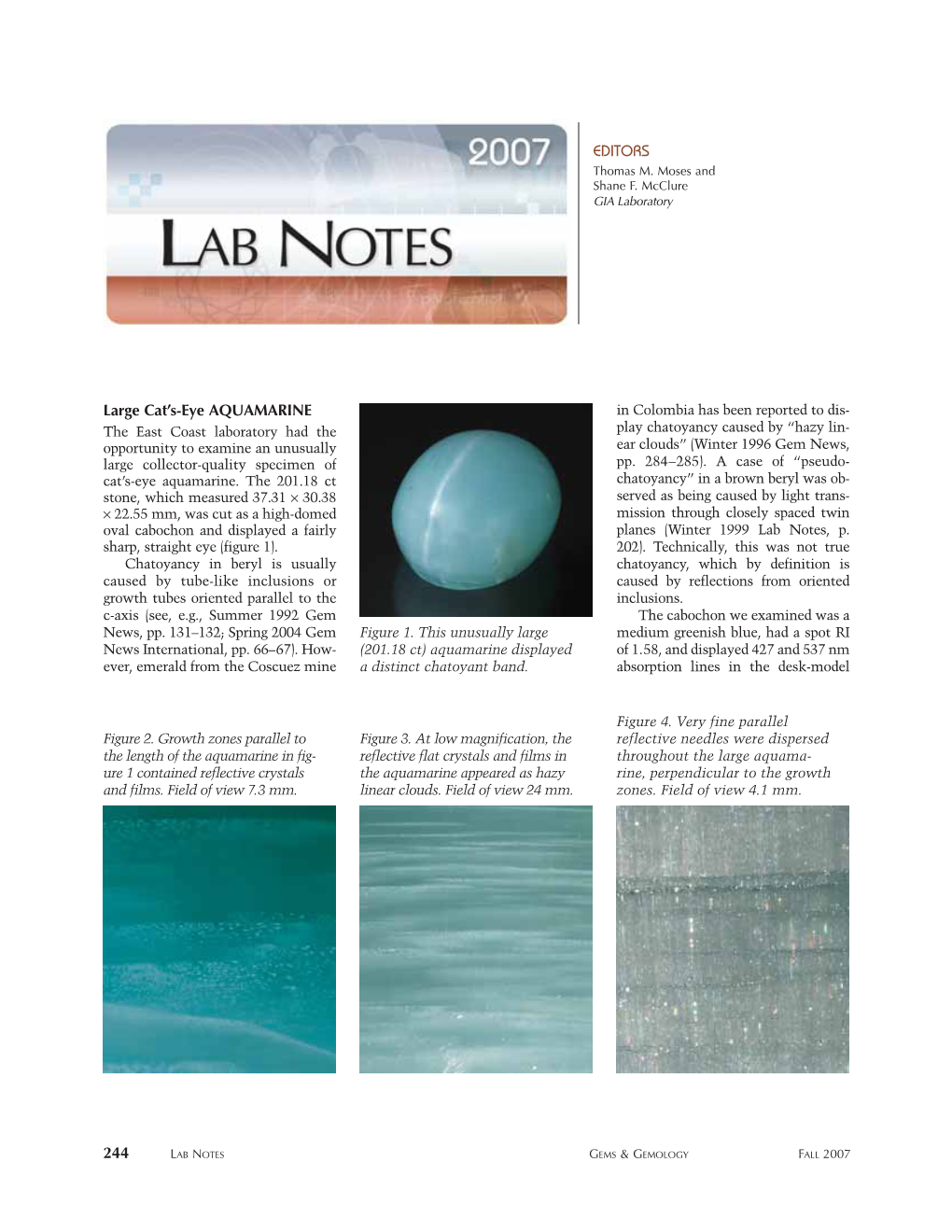 Fall 2007 Gems & Gemology Lab Notes