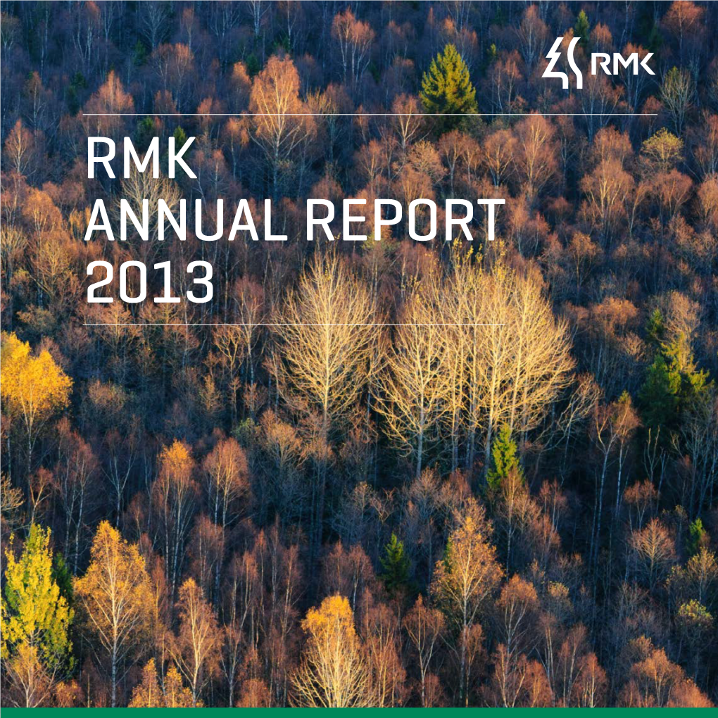 Rmk Annual Report 2013 Annual Report 2013