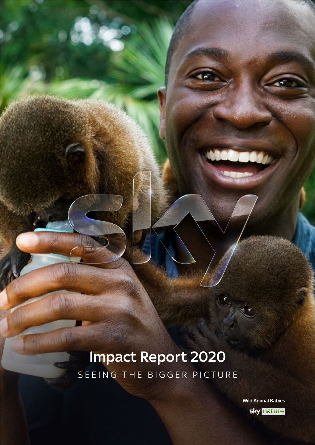 Impact Report 2020 SEEING the BIGGER PICTURE