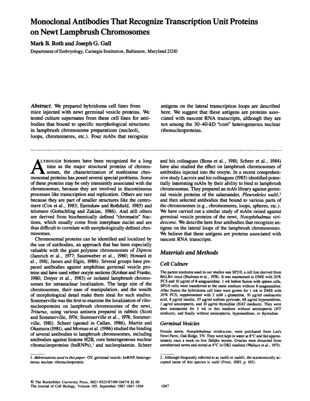 Monoclonal Antibodies That Recognize Transcription Unit Proteins on Newt Lampbrush Chromosomes Mark B