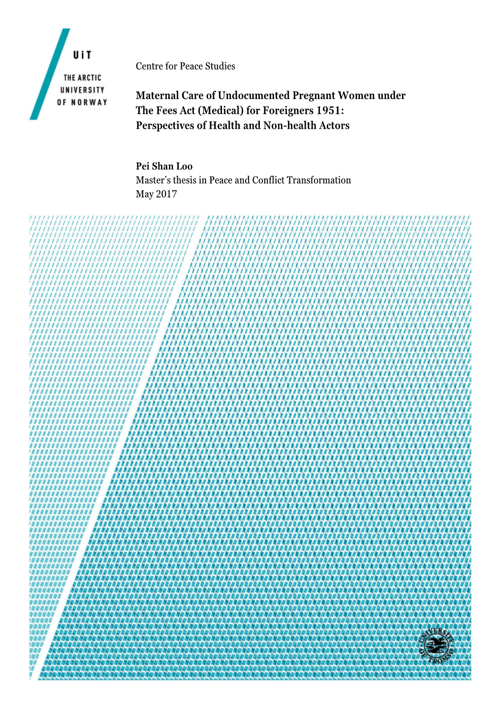 Maternal Care of Undocumented Pregnant Women Under the Fees Act (Medical) for Foreigners 1951: Perspectives of Health and Non-Health Actors