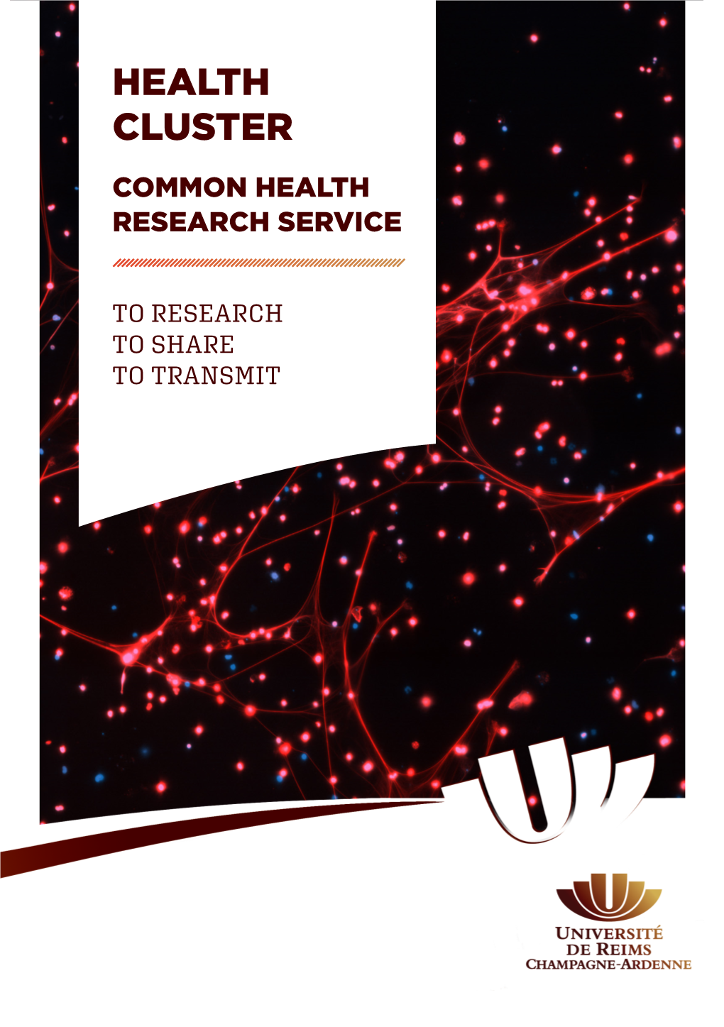 Health Cluster Common Health Research Service